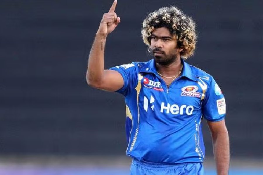 Most Maiden Overs In T20 Cricket