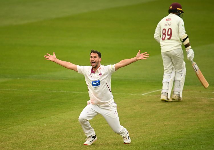 Domestic Cricketers