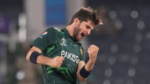 New Cricket